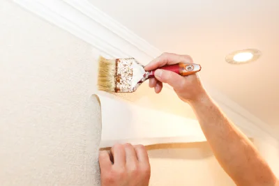 Pose de papier peint à Bignay — revêtements muraux et toiles de verre